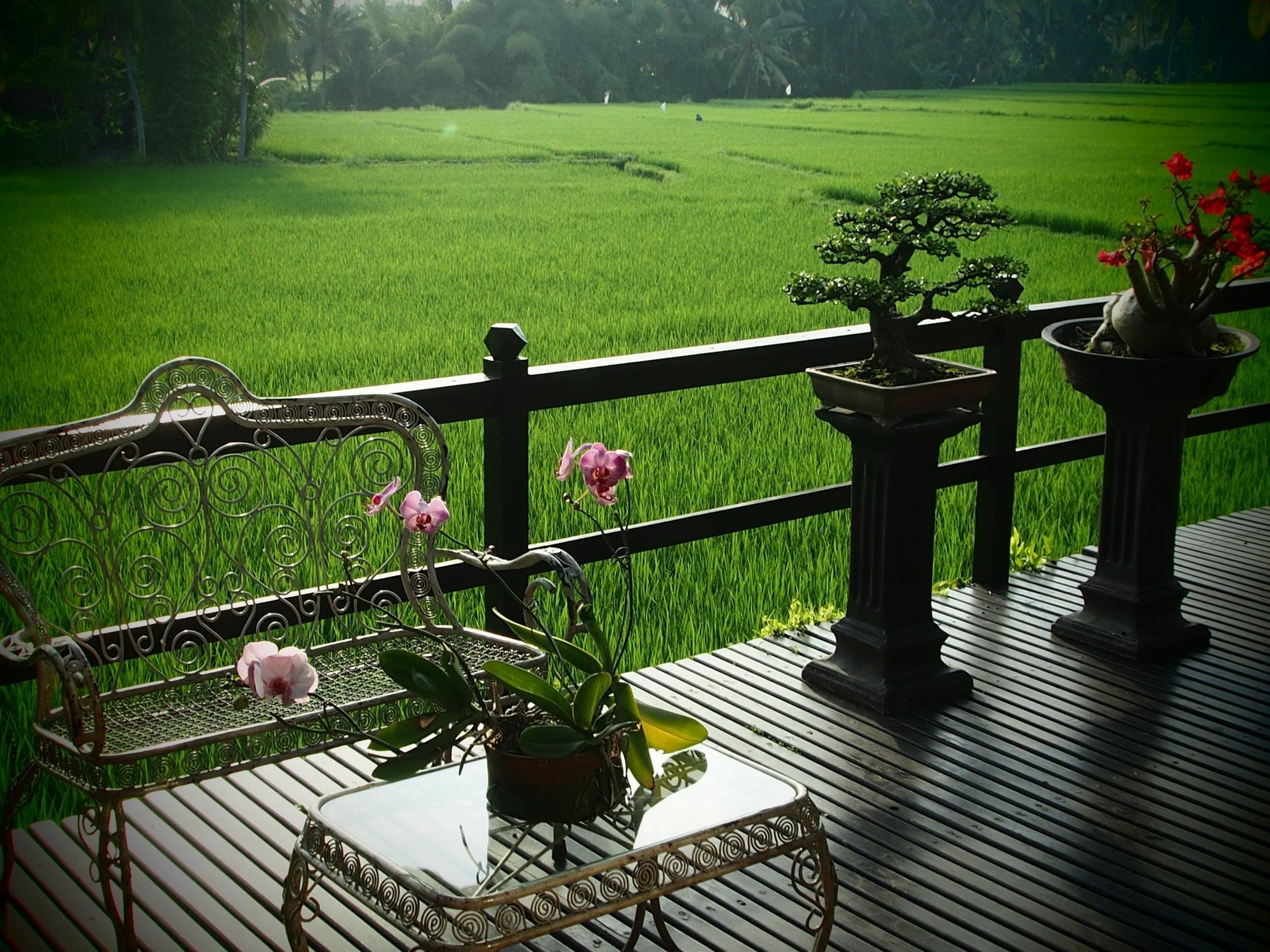 Hotel Lodtunduh Sari Ubud Exterior foto