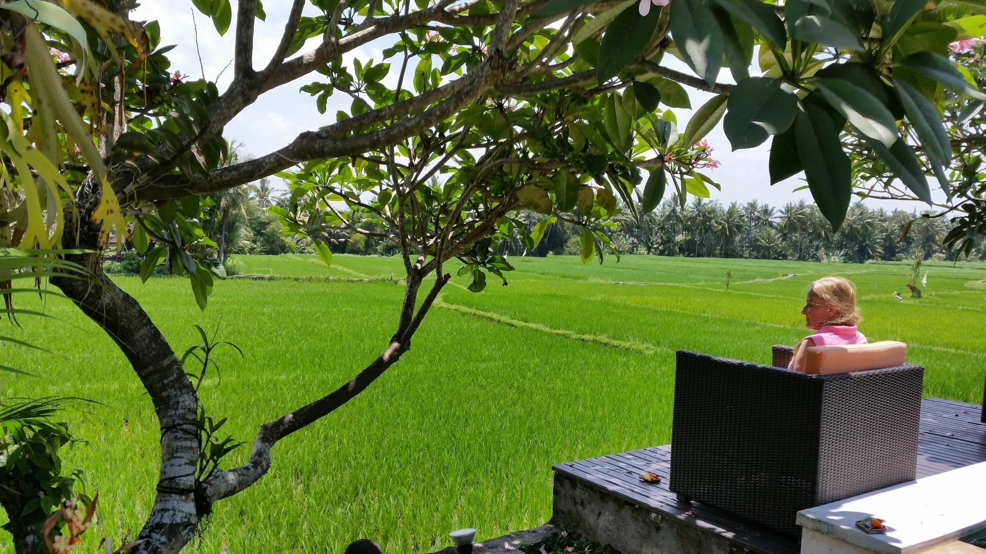 Hotel Lodtunduh Sari Ubud Exterior foto