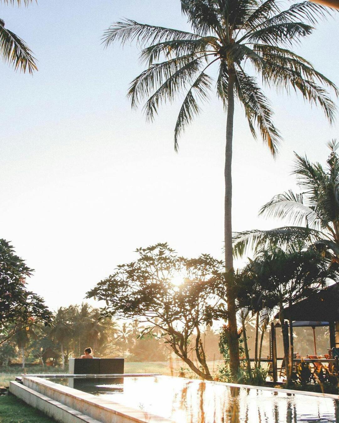 Hotel Lodtunduh Sari Ubud Exterior foto